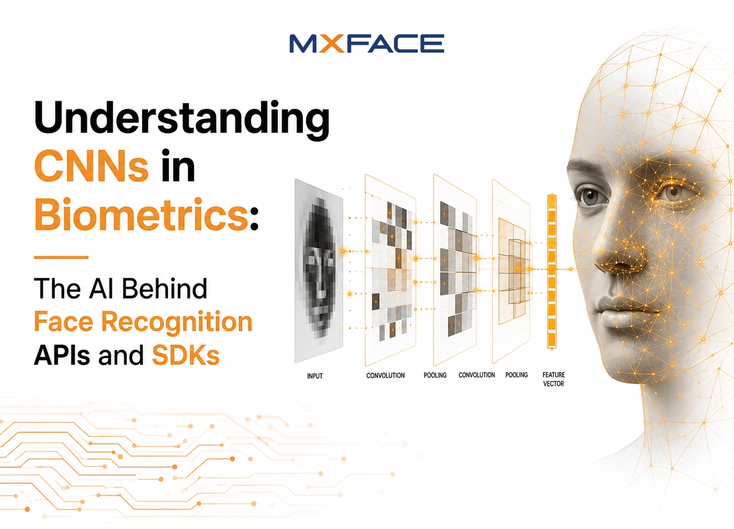 Understanding CNNs in Biometrics: The AI Behind Face Recognition APIs and SDKs
